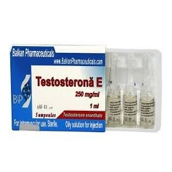 Testosterona E Balkan Pharma (250 mg/ml) 1 ml
