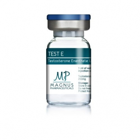 TEST E - Testosterone enanthate U.S.P. 250mg - Magnus