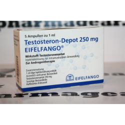 Testosteron Depot 250 Eifelfango 5 ampules