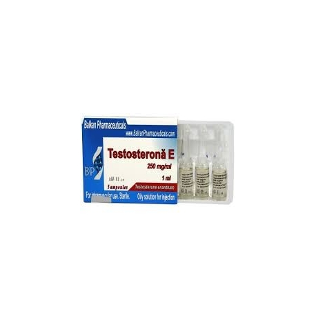 Testosterona E Balkan Pharma (250 mg/ml) 1 ml