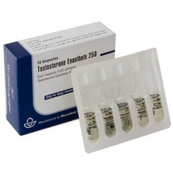 Testosterone enanthate IRAN (250 mg/ml) 1ml