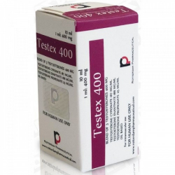 TesteX400 (test mix) 400mg/ml