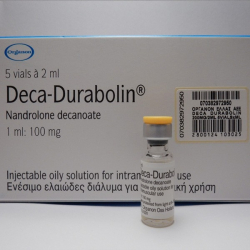 Deca Durabolin Organon (100 mg/ml) 1 ml